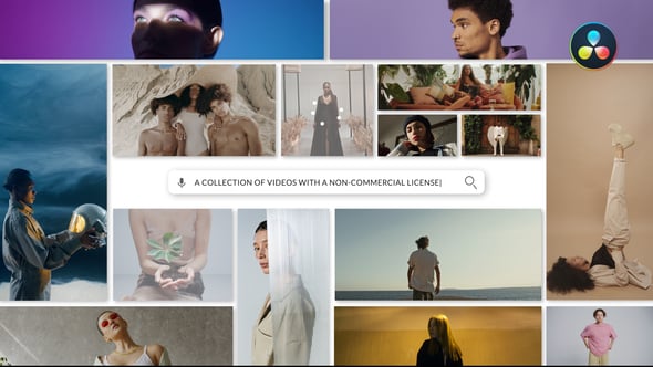 【达芬奇模板】时尚创意搜索栏品牌展示幻灯片动画 Search Logo Reveal for DaVinci Resolve