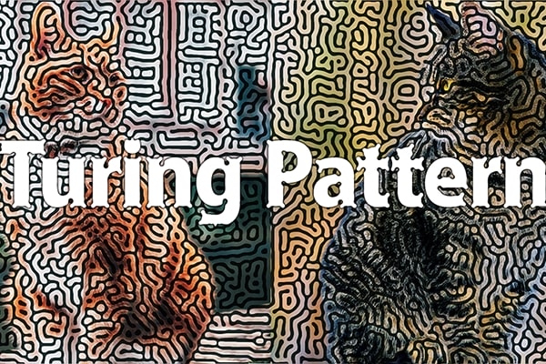 【AE插件】创意抽象图灵纹理效果AE插件 Turing Pattern v1.1 Win汉化版