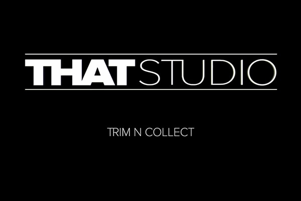 【AE脚本】项目工程素材文件整理优化打包输出工具 Trim N Collect v1.5.3 +使用教程