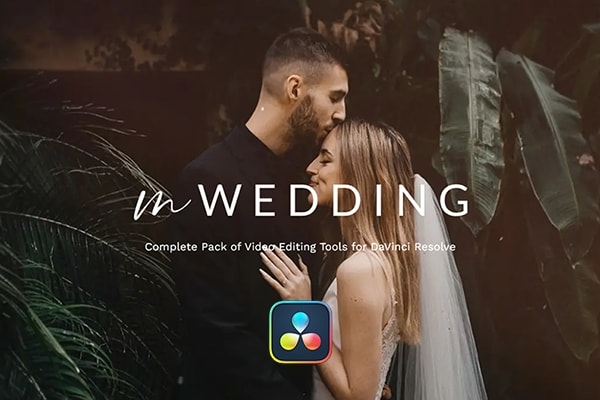 【达芬奇插件】50个爱情婚礼纪录片摄影MV视频剪辑调色转场文字标题排版动画工具包 motionVFX – mWedding 汉化版