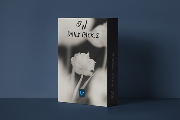 【LR预设】12款大胆明亮鲜艳饱和日常生活摄影光影调色Lightroom预设 Polina Washington – Daily Pack 2