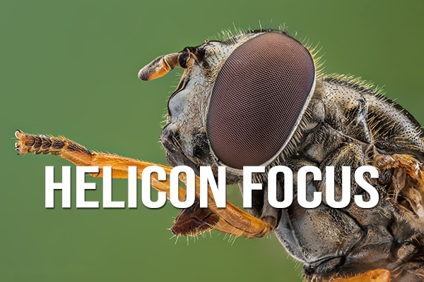 【软件】微距摄影焦点堆叠景深合成效果制作软件 Helicon Focus Pro v8.1.0 Win中文版
