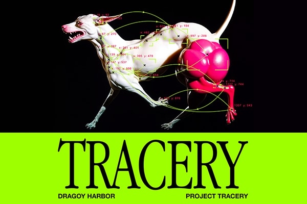 【AE插件】自动化颜色区域跟踪动态图形叠加生成特效 Tracery v1.1 Win/Mac汉化版