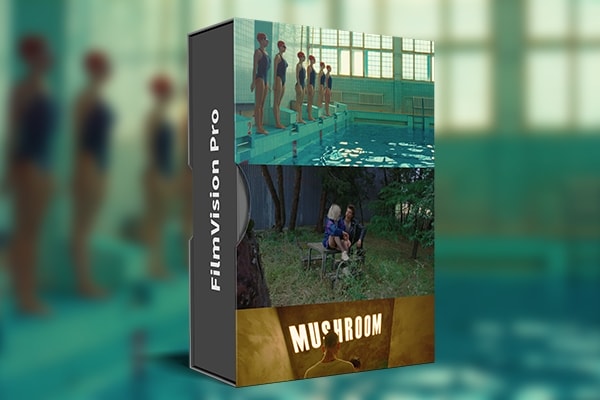 【调色预设】数码摄影还原模拟电影胶片印刷调色LUT预设达芬奇PowerGrades节点预设 ShopMoment – FilmVision Pro