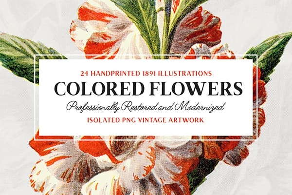【PNG素材】24副精美植物花卉高分辨率扫描古文献插图PNG图片素材 24 Colored Flower Illustrations