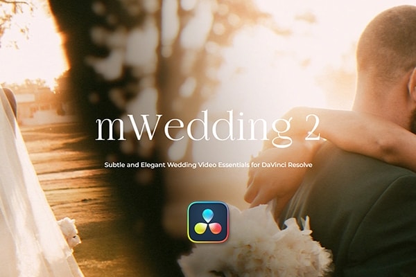 【达芬奇插件】56个爱情婚礼纪录片摄影MV视频剪辑调色转场文字标题排版动画工具包 motionVFX – mWedding 2 汉化版