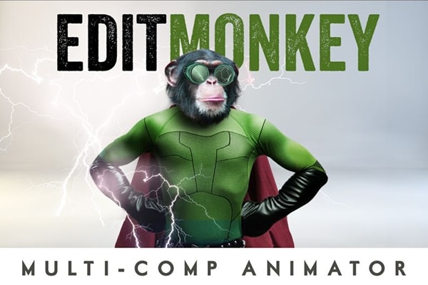 【AE脚本】批量处理多图层文字排版动画工具 EditMonkey v1.11 汉化版 +使用教程